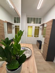 een kamer met een tafel en een potplant bij FeWo Sonnenberg in Chemnitz