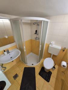 a bathroom with a shower and a toilet and a sink at Vlaškovec Experience in Plešivica +14 photos