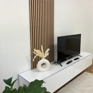 Μια τηλεόραση ή/και κέντρο ψυχαγωγίας στο Roosevelt Center Apartman