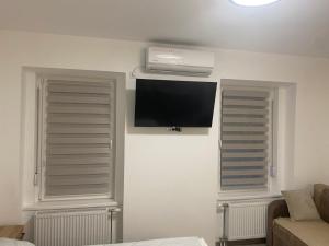 a living room with a flat screen tv and two windows at Apartmani Srce Vršca in Vršac