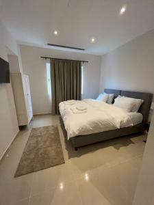 a bedroom with a large bed and a window at Epirus Easy Stay in Ioannina