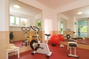 Fitness centrum a/nebo fitness zařízení v ubytování Hotel Mühle Mayer