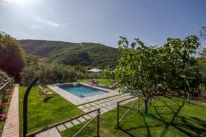 a backyard with a swimming pool and a tree at Podere Maria Lena, Casentino in Chitignano
