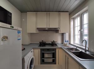 Kuchyň nebo kuchyňský kout v ubytování Ladoll Service Apartments