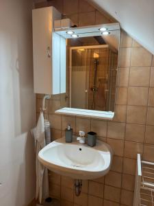 a bathroom with a sink and a mirror at Ili Vendégház in Zalakaros +44 photos