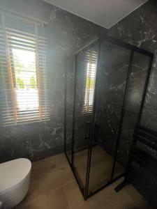 a bathroom with a shower and a toilet in it at Dom ARCHITEKTA in Stoki Duże +38 photos