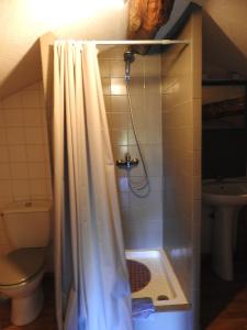 uma casa de banho com uma cortina de chuveiro e um WC em La Nichoule em Rosières