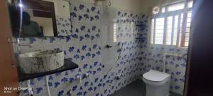 a bathroom with a toilet and blue and white tiles at Archana Guest House River View in Hampi
