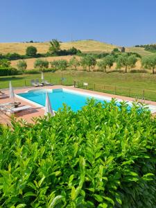 a swimming pool surrounded by green bushes at La Locanda Dell'olmo in Orvieto