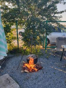 Gallery image of Campul Sophia in Vama Veche