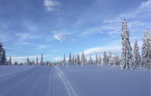 ein schneebedecktes Feld mit schneebedeckten Bäumen und einer Straße in der Unterkunft 2 Bedroom Cozy Home In Sjusjøen in Sjusjøen + 4 Fotos