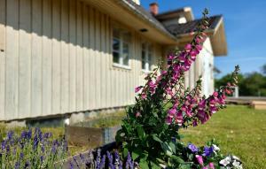 Bjärnumにある5 Bedroom Gorgeous Home In Bjärnumの家の前の花の茂み +12枚の写真
