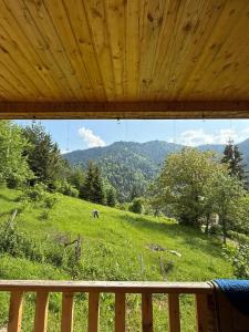 une vue d'un cheval dans un champ depuis un porche dans l'établissement Welcome to Tamara Cottage, à Tba