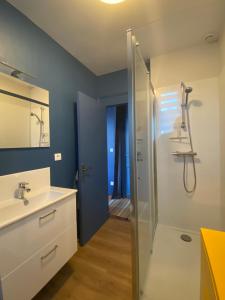 a bathroom with a shower and a sink and a mirror at Les LOTUS de BELLE-YLE in Yvré-lʼÉvêque +19 photos