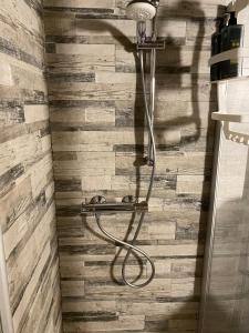a shower in a bathroom with a wooden wall at Baita Bea&Benny in Carona +103 photos