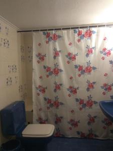 a bathroom with a shower curtain with a toilet at Nea Augousta in Naousa