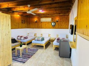 a living room with two couches and a tv at Dalida House in Dahab