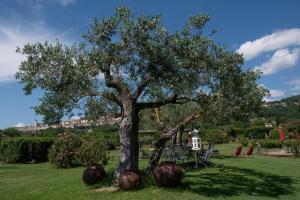 A garden outside Tenuta San Masseo - boutique farm resort & SPA