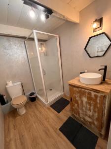 un bagno con doccia, WC e lavandino di Ti ar Goanag, Maison de vacances, Séjour, Week-end a Pleyben