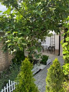 a garden with a tree and a white fence at Sunny Nest in Odesa