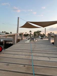 a dog laying on a wooden dock with an umbrella at VILLA MARE - 2 beds with balcony, patio and pool and direct park access in Murcia