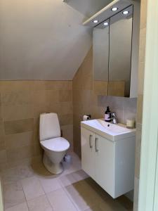 Bilik mandi di Koselig loftsleilighet