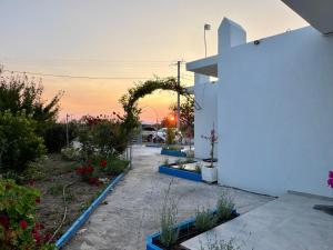 A garden outside El Greco Apartments in Tigaki, near the sea - No 3