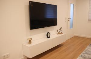 Μια τηλεόραση ή/και κέντρο ψυχαγωγίας στο Apartman Nikola