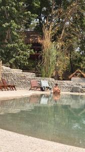 Piscina en o cerca de Happy Lemon Tree lodge