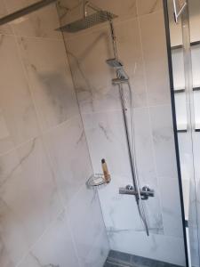 eine Dusche mit Glastür im Badezimmer in der Unterkunft Pelister Riverside Villa in Bitola + 26 Fotos