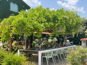 A garden outside Tenuta San Masseo - boutique farm resort & SPA