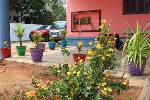 Awe venues في مادوراي: مجموعة من النباتات الفخارية أمام المنزل