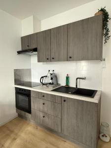 Η κουζίνα ή μικρή κουζίνα στο Petit appartement central Chimay