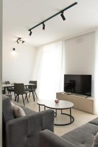 TV a/nebo společenská místnost v ubytování Konzul apartment