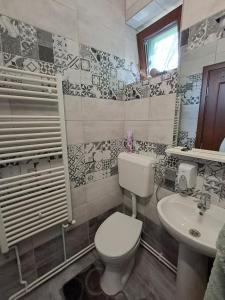 a bathroom with a toilet and a sink at Csergő Ildikó vendégház in Lăzarea +56 photos