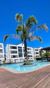 a palm tree in front of a building at Blouberg Luxury Oasis With Pool & Scenic Mountain Views in Cape Town
