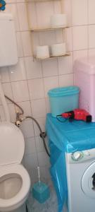 a small bathroom with a toilet and a blue counter at Apartman Kuršumlijska Banja in Kursumlijska Banja +9 photos