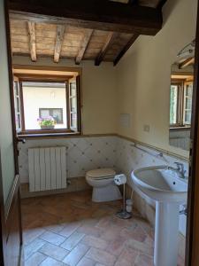 a bathroom with a sink and a toilet and a window at Il Giovannello in Roccastrada +37 photos