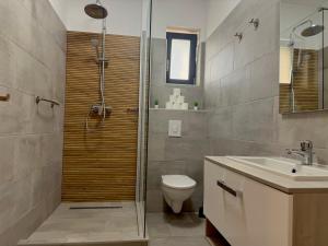 a bathroom with a shower and a toilet and a sink at Családi kikötő apartman in Gyula