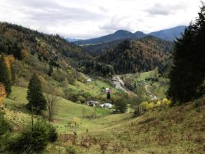 a view of a valley with trees on a hill at Котедж Ксенія in Dzembronya