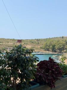 Imagen de la galería de Del Mare, en Sarandë