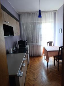 Kuchyň nebo kuchyňský kout v ubytování SREMICA - Guest House