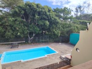 a swimming pool in a yard with a tree at VerZion Kréol in Pointe aux Piments