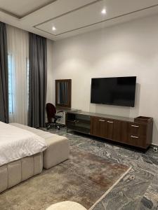 TV a/nebo společenská místnost v ubytování Aryna Apartment
