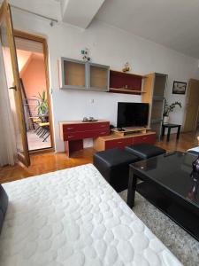Gallery image of D Center Apartment in Kumanovo
