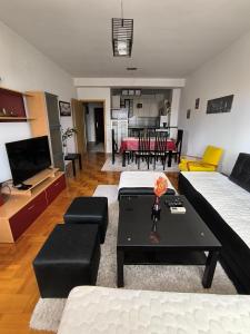 Gallery image of D Center Apartment in Kumanovo +8 photos