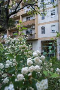 Fotografia z galérie ubytovania Dolce Rita Apartman v Budapešti