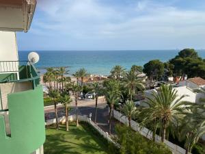 a view of a beach with palm trees and the ocean at Apartamentos Las Palmeras, Benicàssim in Madrid