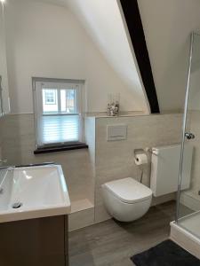 a bathroom with a toilet and a sink at Ferienhaus Schröder OM 3 Altstadt in Monschau