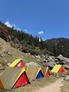 a group of tents on a hill with trees at Kareri Nomads Adventure Camp in Minkiānī